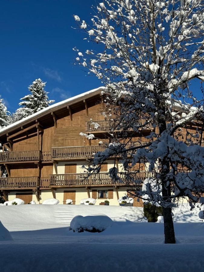 Chalet Le Repaire Proche Piste 메게브 외부 사진